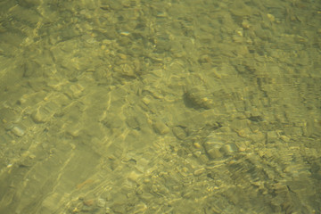 natürliches Wasser in einem flachen Bergsee mit Kaulquappen