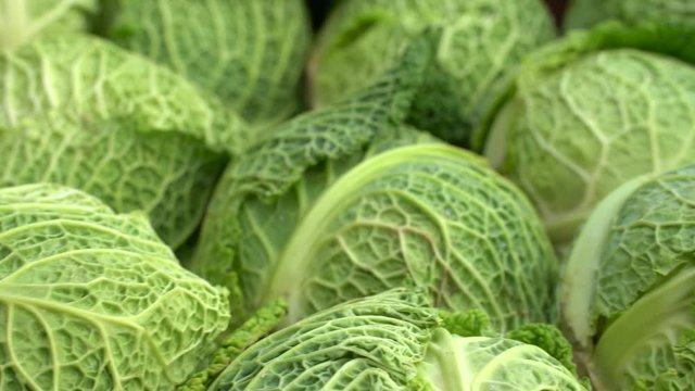 closeup shot of savoy cabbage pile