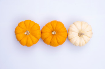 Orange and white pumpkins on white background. Fall concept, minimal style for thanksgiving and halloween.