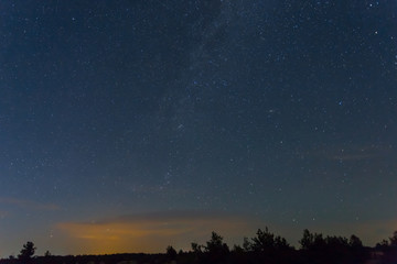 Fototapeta na wymiar night outdoor scene, starry sky above prairie and forest silhouette