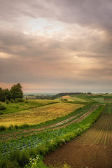 Polish agricultural countryside on a sunset