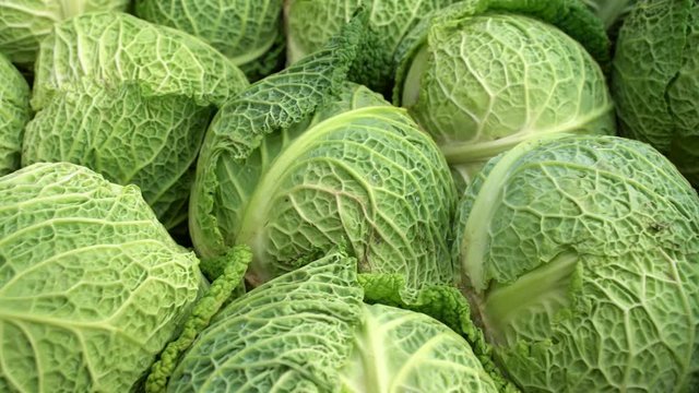  fresh savoy cabbage at the farmer's market