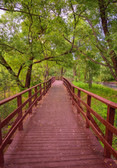 wooden brown bridge in the park, autumn park, wooden path, distance path, forest platform, wooden railing, autumn park