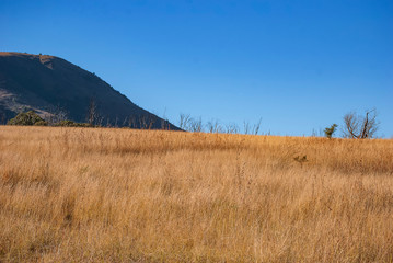 The rural landscape around eManzana (formerly Badplaas) in Mpumalanga Province, South Africa