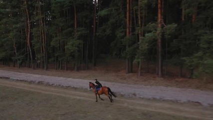 View from the height of woman riding a brown horse by gallop outdoors