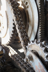 Chain drive transmission. Drive roller chain in operation