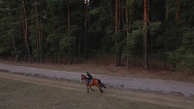 View from the height of woman riding a brown horse by gallop outdoors