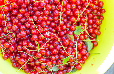 red currant lies in yellow bowl closeup