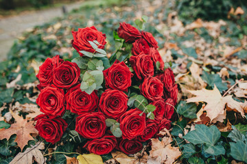 Bouquet of red roses - perfect for engagement
