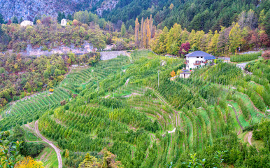 Idyllic autumnal view in Val di Non, Province of Trento, Trentino Alto Adige, Italy.