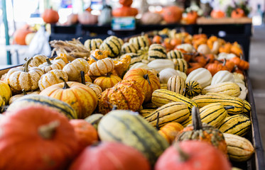 Pumpkins stacked in Lachine market being sold for halloween, Quebec, Canada.