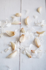 Fototapeta na wymiar Garlic isolated on a white background