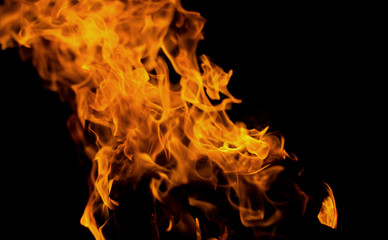 Closeup image of bonfire on black background
