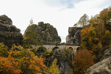 Autumn moments
