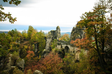 Autumn moments