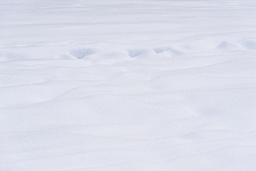 Fototapeta premium winter abstract snow background close up