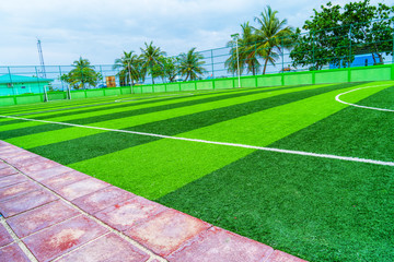 Soccer field, artificial green grass, among a palm forest.