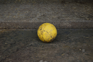 Large Yellow Play Ball in Animal Pen 6918-042