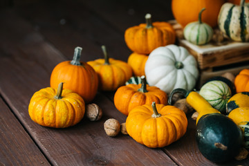 Varieties of pumpkins and squashes collection. View of squash and pumpkins for Halloween 