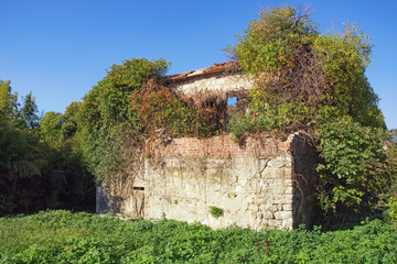 Ruined building. Abandoned house overgrown with green trees against blue sky on sunny day. Montenegro, Tivat