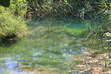 Fototapeta premium Krka Park in Croatia