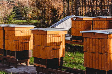 Set of beehives