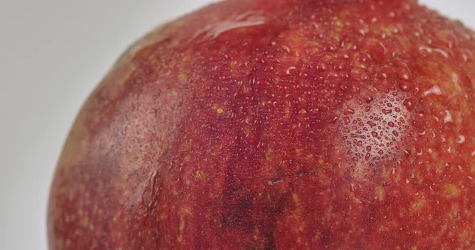 Close up of fresh pomegranate on white background. Rotating fresh fruit with water drops on surface. 4k.