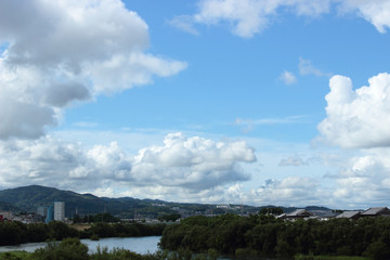 夏の空