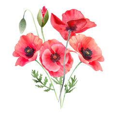 Watercolor red poppies. Wild flower bouquet isolated on white. Hand painting illustration for interior decoration, textile printing, printed issues, invitation and greeting cards.
