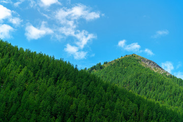 Obraz premium Mountainous landscape, picture mountain range in the summer day.