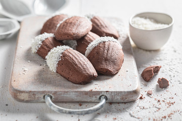 Tasty Madeleine chocolate cookies baked in shell shaped mold