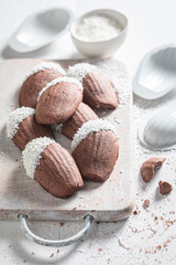 Sweet Madeleine chocolate cookies as a small french snack