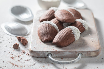 Sweet Madeleine chocolate cookies baked in shell shaped mold