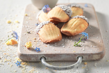 Classic Madeleine cookies made of flour, eggs, sugar, and butter