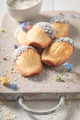 Sweet Madeleine cookies baked in small shell shaped mold