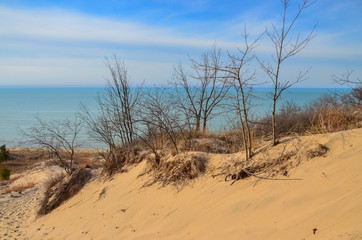 Sand dunes with sparse drought tolerant vegetation. Indiana Dunes National Lakeshore, USA