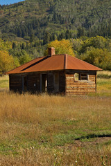 Abandoned mountain cabin surrounded by glowing aspen tres in a meadow