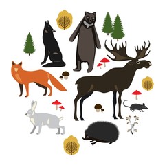 Set of forest animal vectors on white background