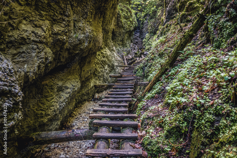 Wall mural Ladders on the Sucha Bela hiking trail in park called Slovak Paradise, Slovakia