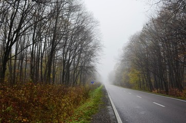 Fototapeta premium Highway in fog on forest background