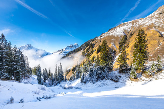 Nebel im Alpental bei Schr&ouml;cken im Vorarlberg / &Ouml;sterreich