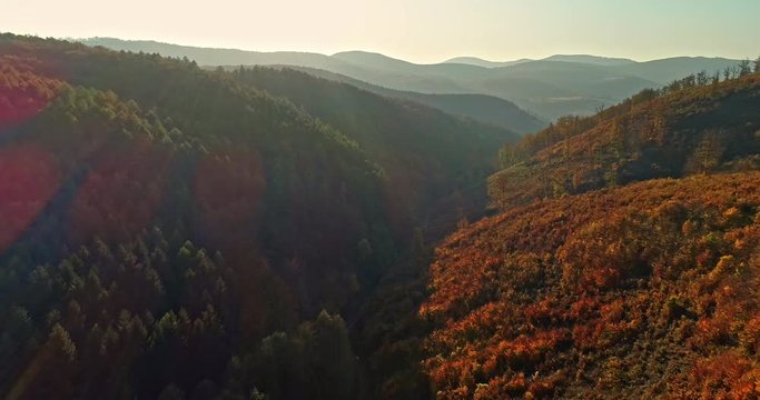Autumn forest drone aerial shot at sunset. Overhead view of foliage trees in Hungary, Matra. Inspiring autumn season landscape panorama.