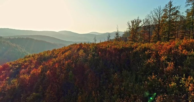 Autumn forest drone aerial shot at sunset. Overhead view of foliage trees in Hungary, Matra. Inspiring autumn season landscape panorama.