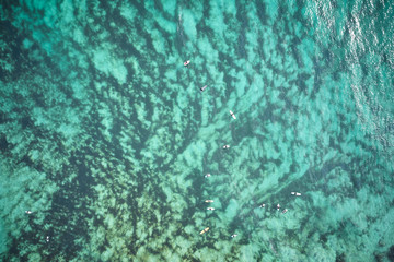 Group of surfers handing out over a reef just of the beach catching waves in Australia