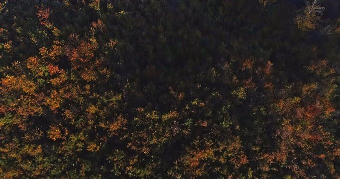 Autumn forest drone aerial shot at sunset. Overhead view of foliage trees in Hungary, Matra. Inspiring autumn season landscape panorama.