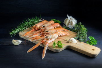 Fresh scampi, also called Norway Lobster or langoustine on a kitchen board, also garlic and herbs,...