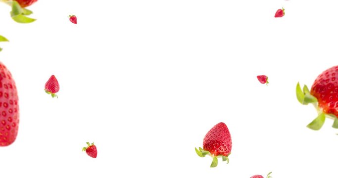 Slow motion video of several fresh strawberries falling through the air, circling and approaching the camera. Isolated on white background. Healthy food. Vegetarian, vegan, organic food