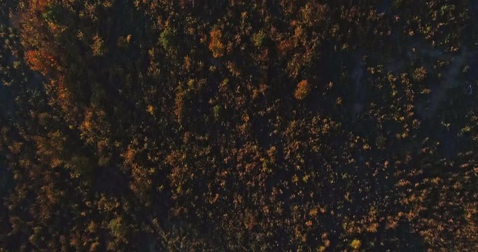 Autumn forest drone aerial shot at sunset. Overhead view of foliage trees in Hungary, Matra. Inspiring autumn season landscape panorama.