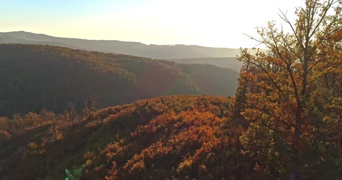 Autumn forest drone aerial shot at sunset. Overhead view of foliage trees in Hungary, Matra. Inspiring autumn season landscape panorama.