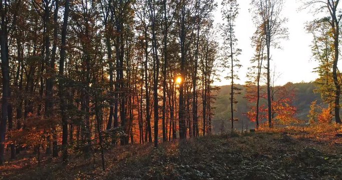 Autumn forest drone aerial shot at sunset. Overhead view of foliage trees in Hungary, Matra. Inspiring autumn season landscape panorama.
